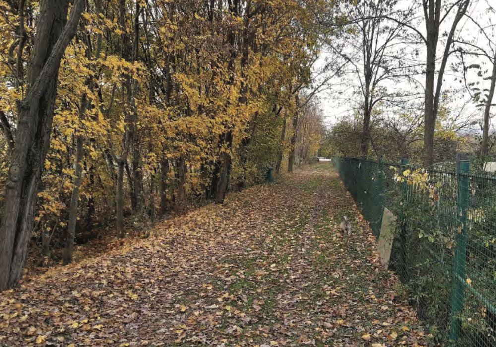 immagine annuncio 8 di 13