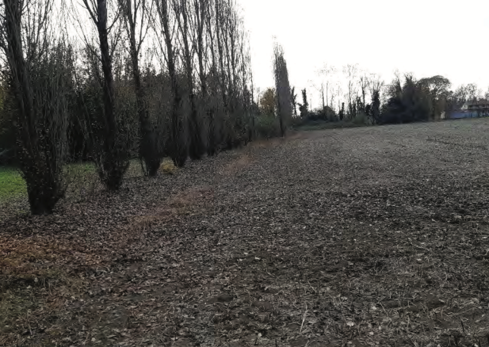 immagine annuncio 10 di 13