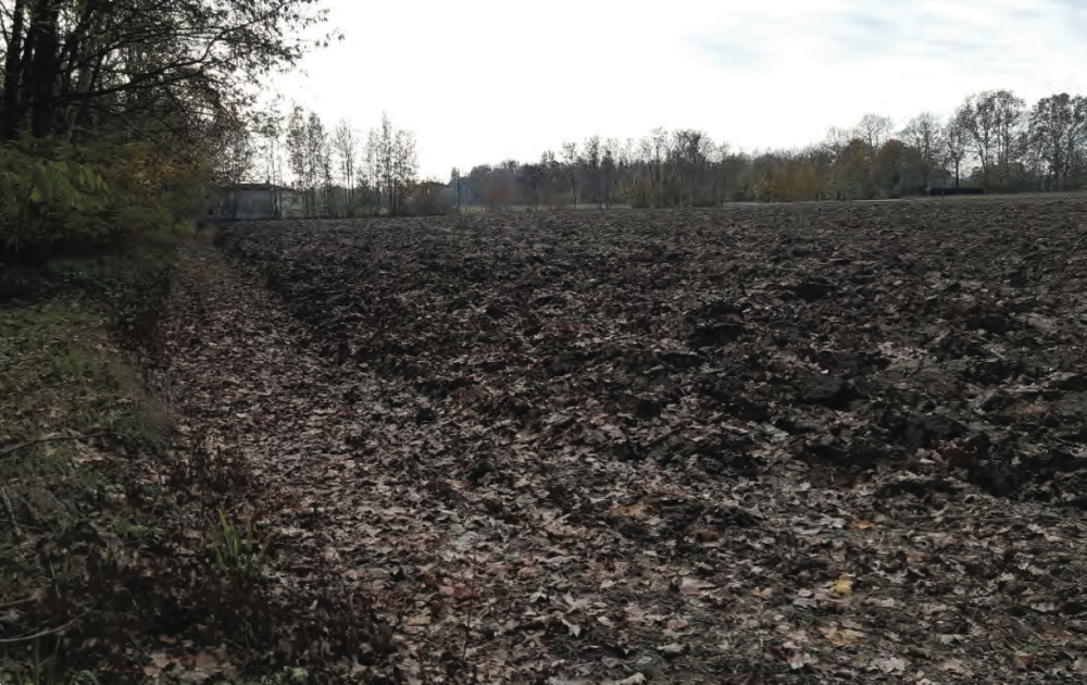 immagine annuncio 11 di 13