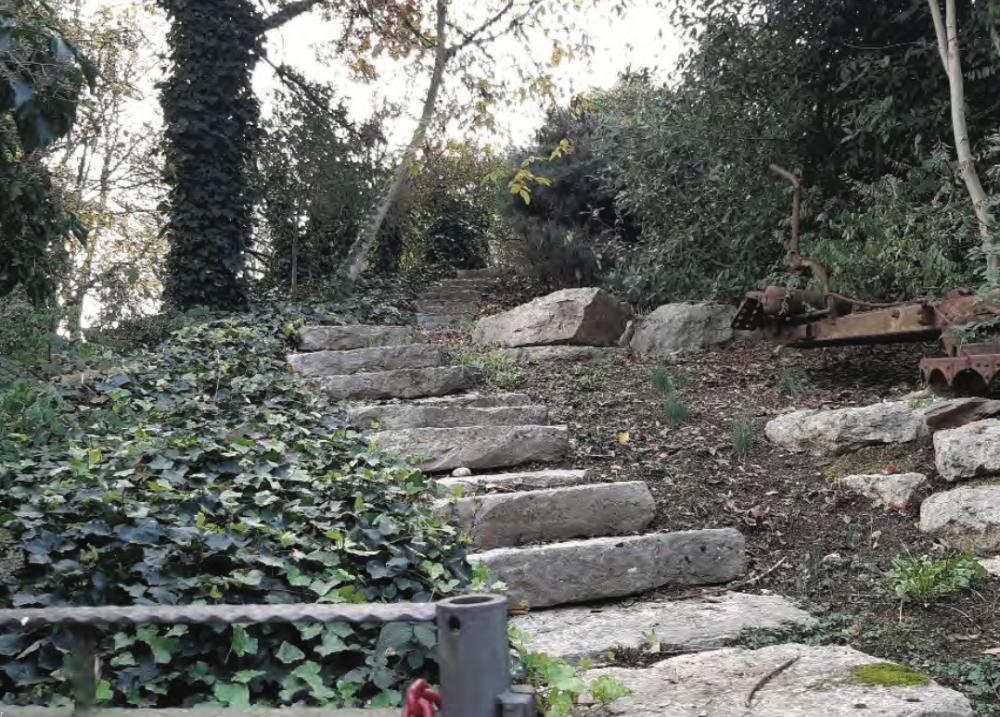 immagine annuncio 12 di 13