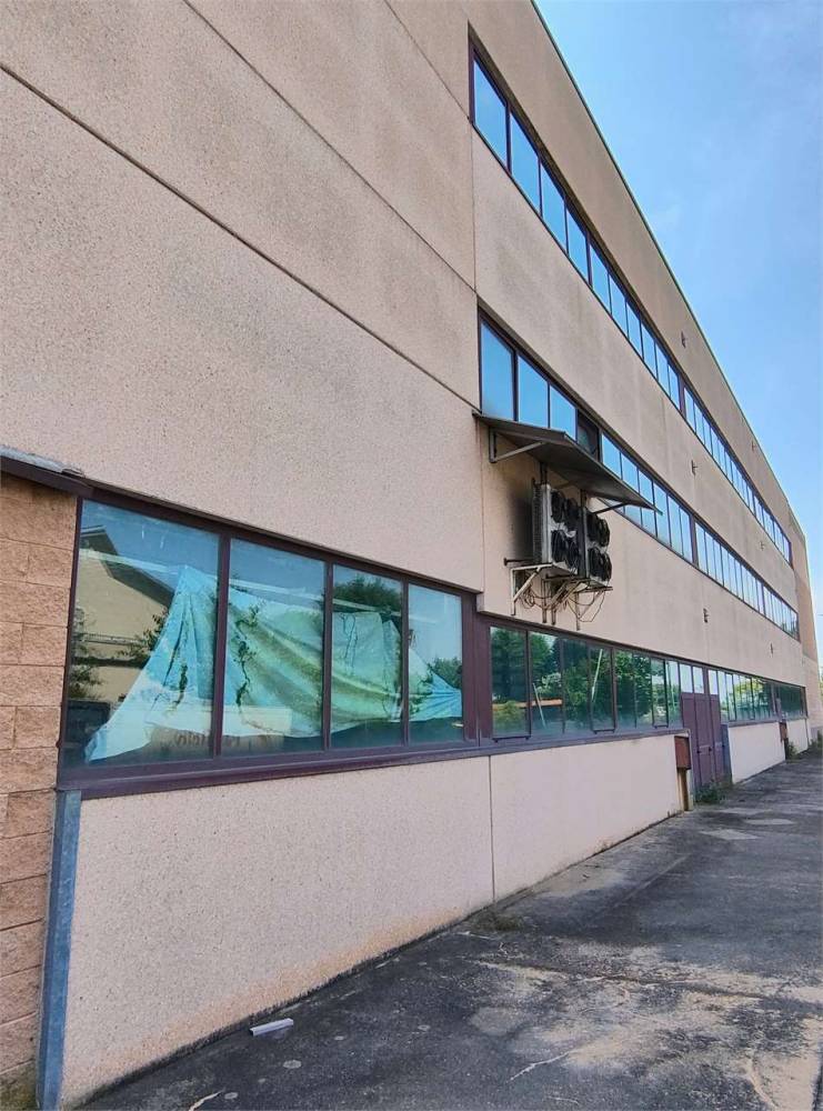 immagine annuncio 1 di 13