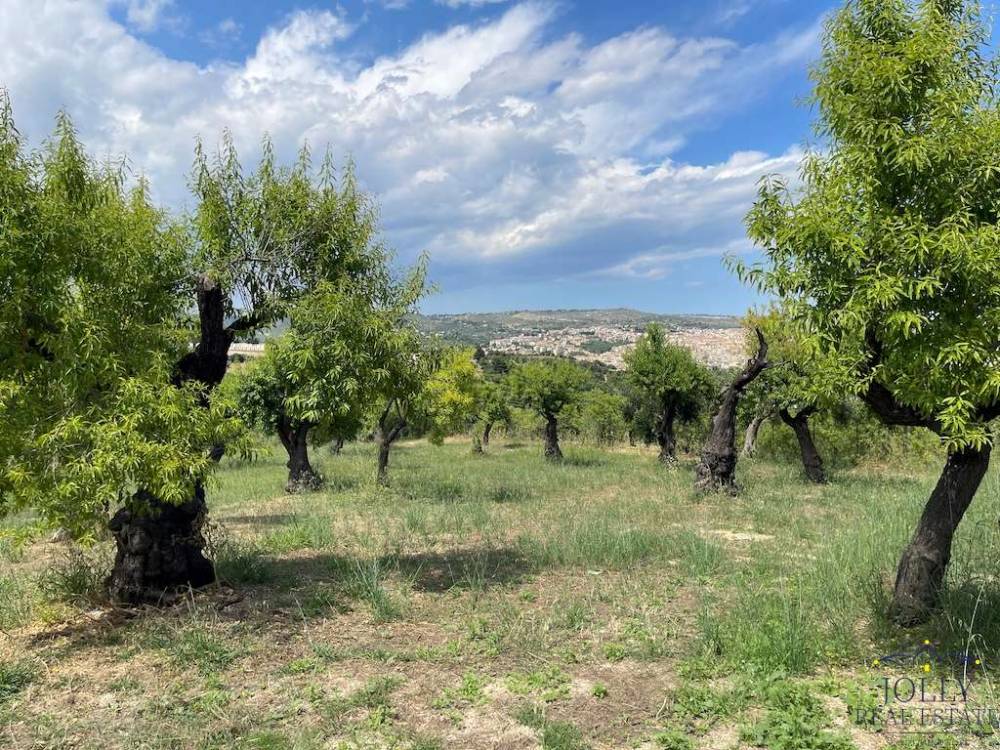 immagine annuncio 7 di 13