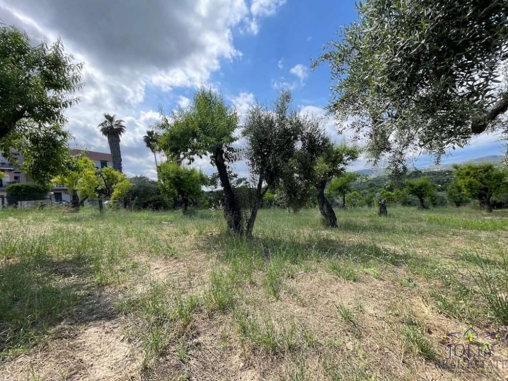 immagine annuncio 10 di 13