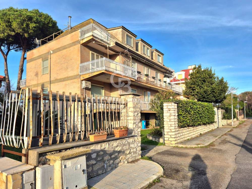 immagine annuncio 12 di 13