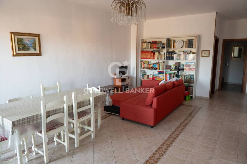 immagine annuncio 12 di 13