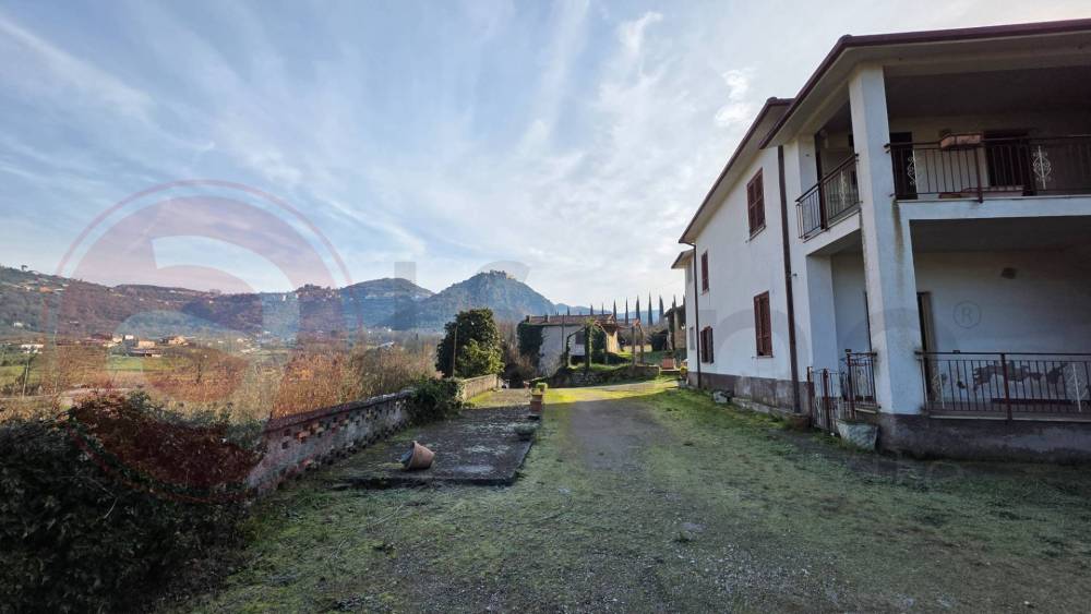 immagine annuncio 3 di 13