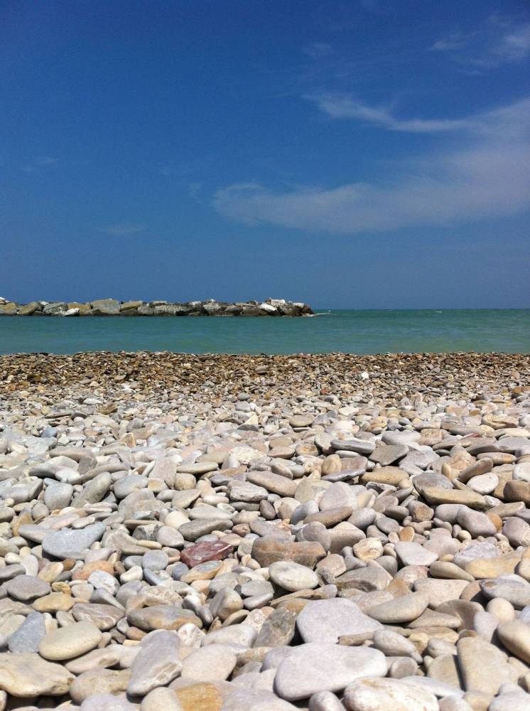 immagine annuncio 3 di 7