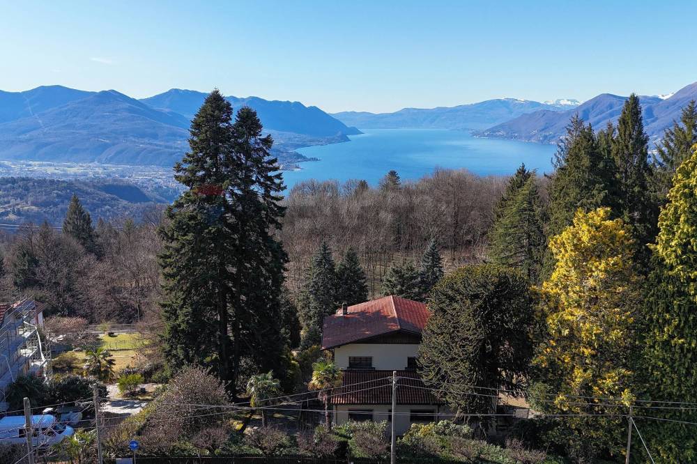 immagine annuncio 2 di 13