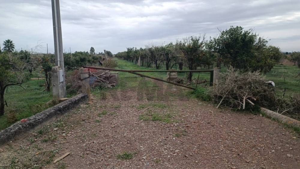 immagine annuncio 12 di 13