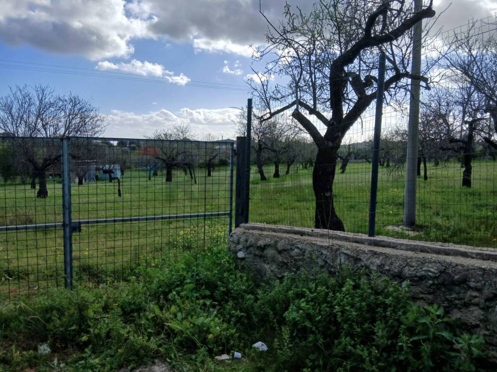 immagine annuncio 1 di 13