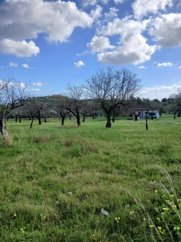 immagine annuncio 4 di 13