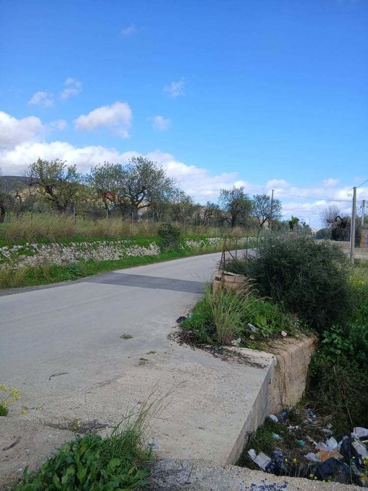 immagine annuncio 6 di 13