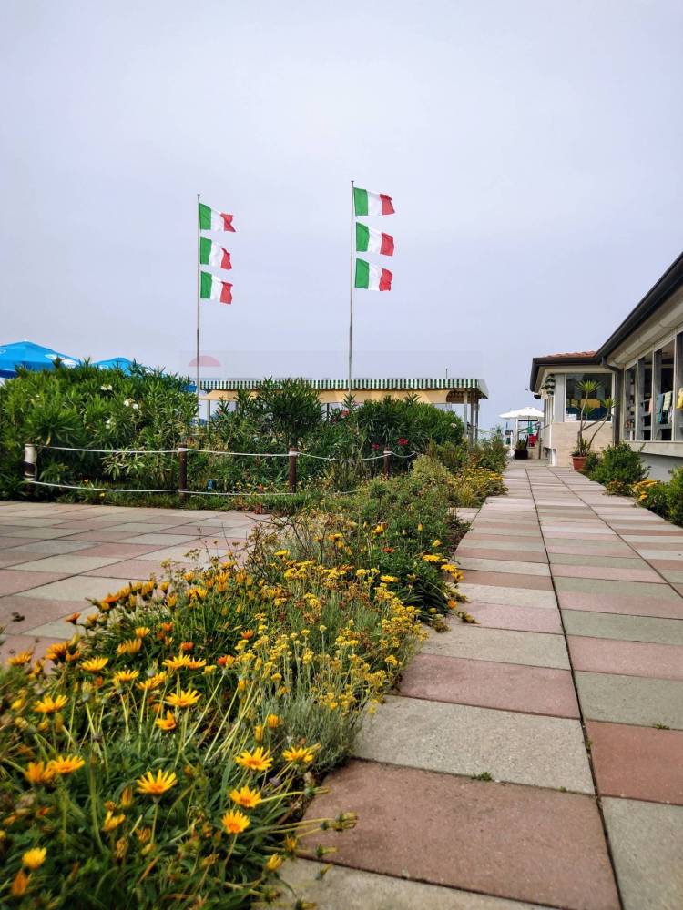 immagine annuncio 6 di 13