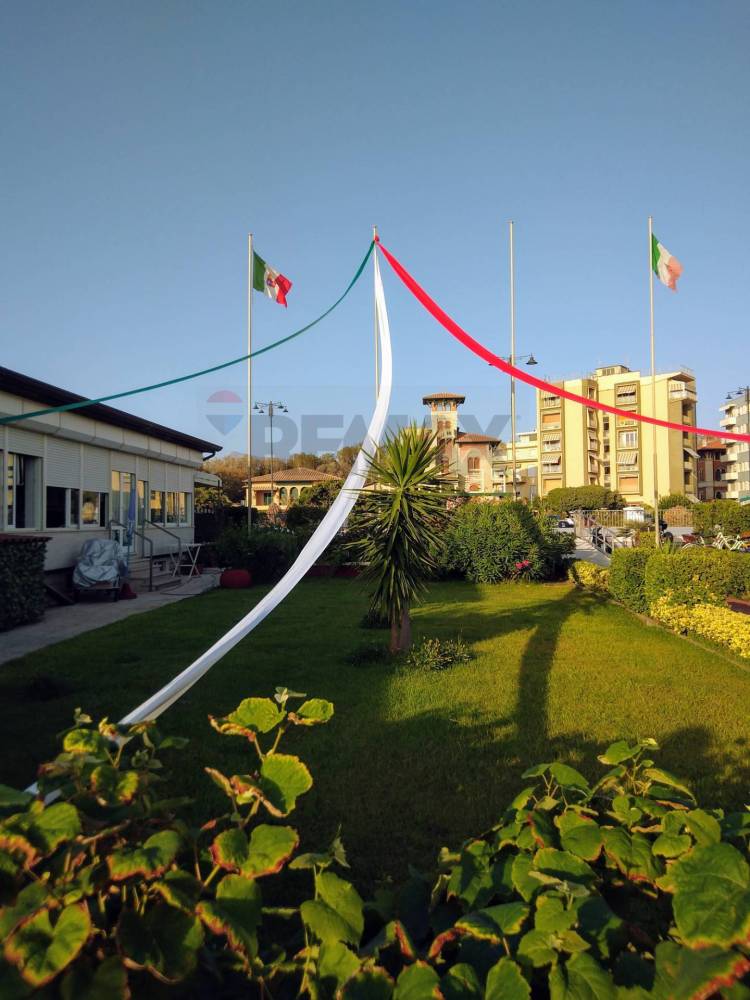 immagine annuncio 7 di 13