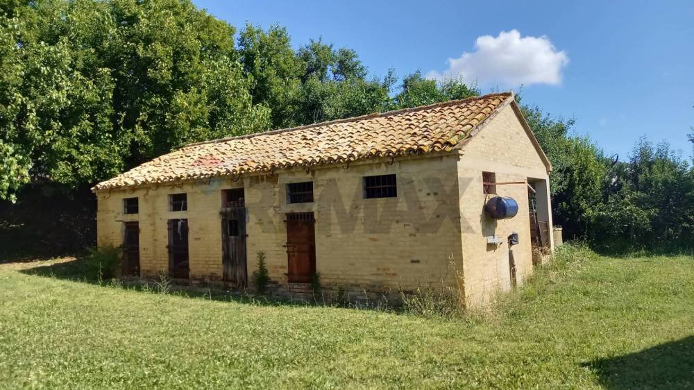 immagine annuncio 8 di 13