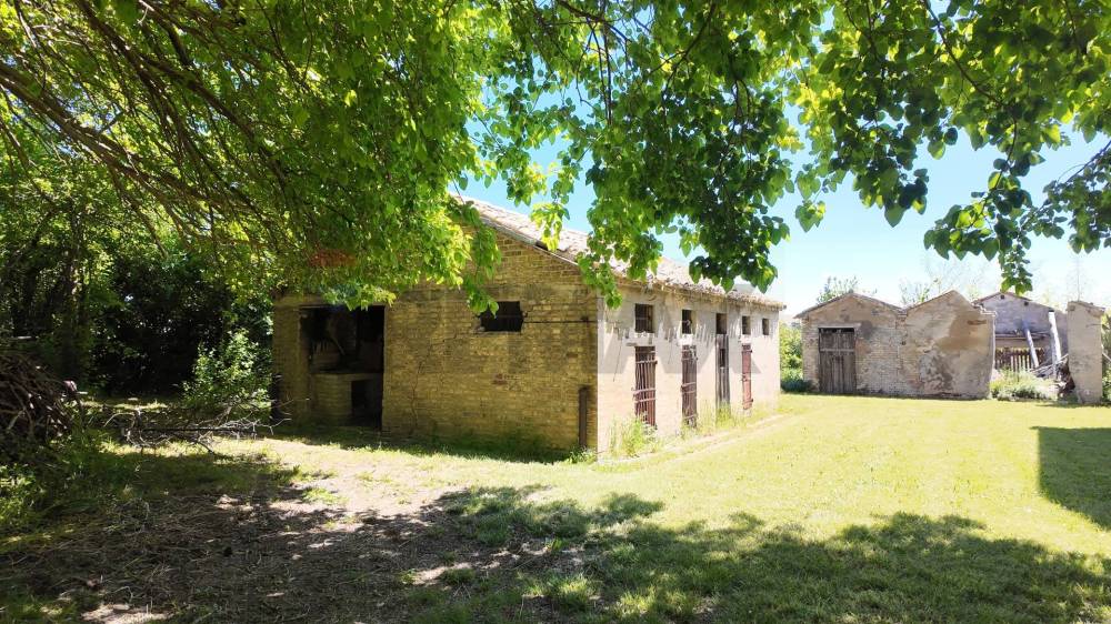 immagine annuncio 5 di 13