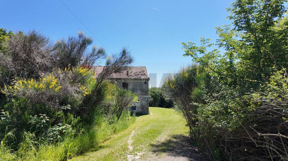 immagine annuncio 4 di 13