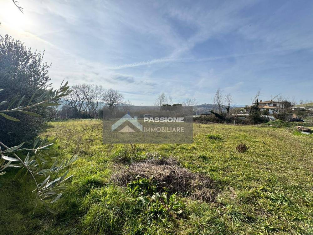 immagine annuncio 9 di 13