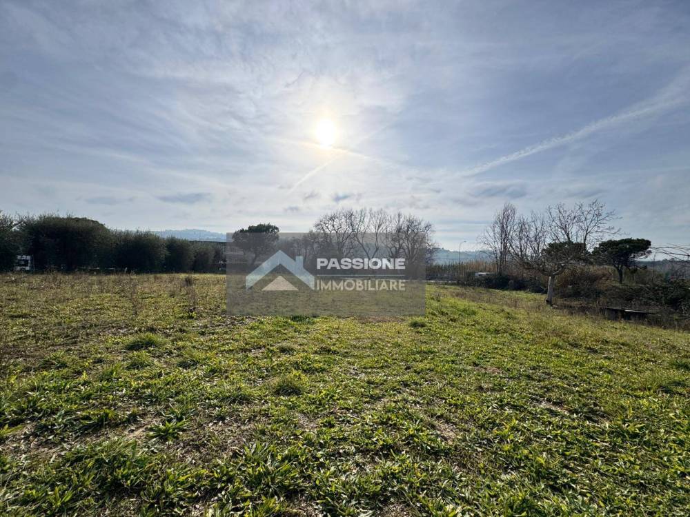 immagine annuncio 7 di 13