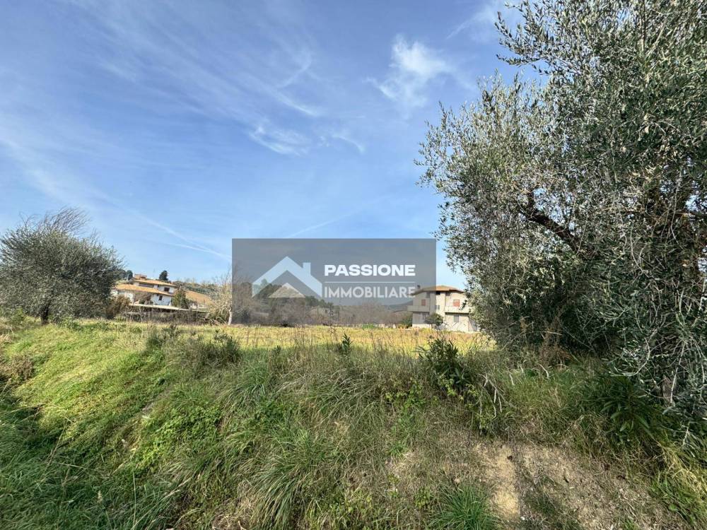 immagine annuncio 4 di 13