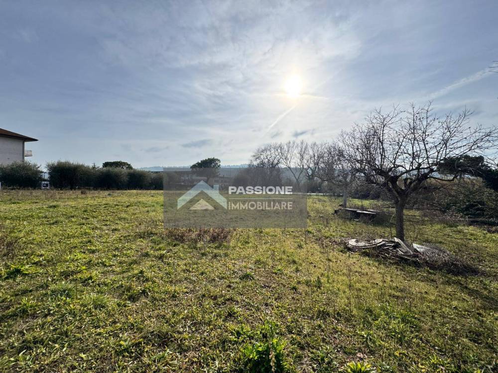 immagine annuncio 3 di 13