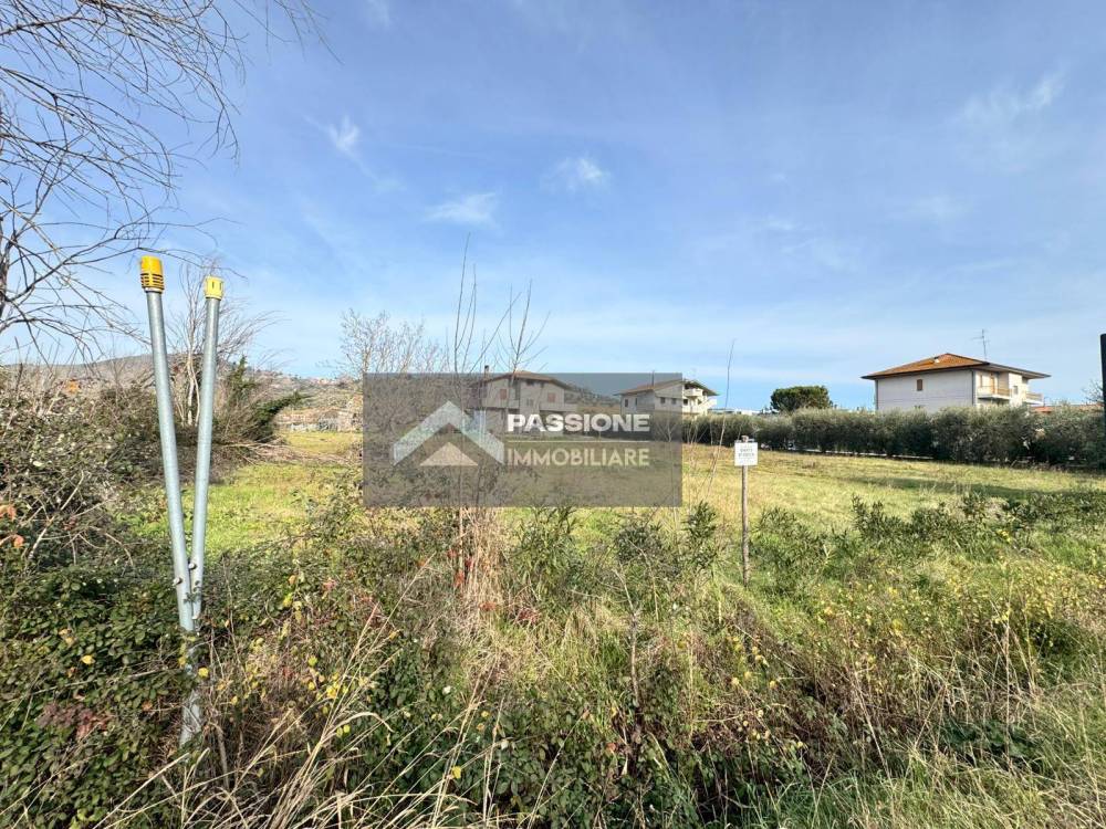 immagine annuncio 2 di 13