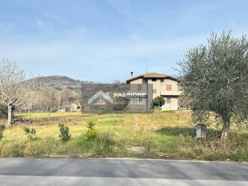 immagine annuncio 11 di 13