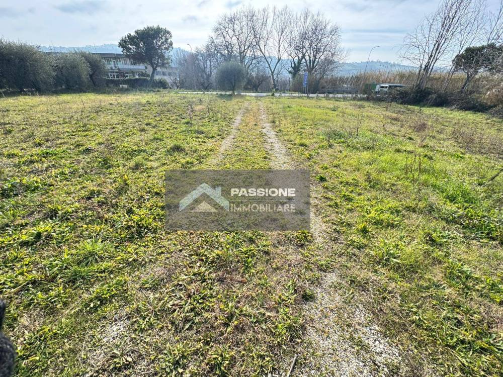 immagine annuncio 12 di 13