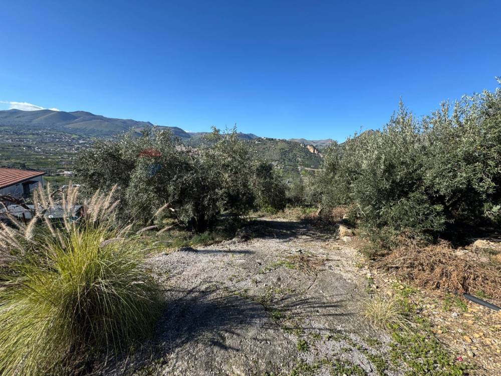 immagine annuncio 3 di 8