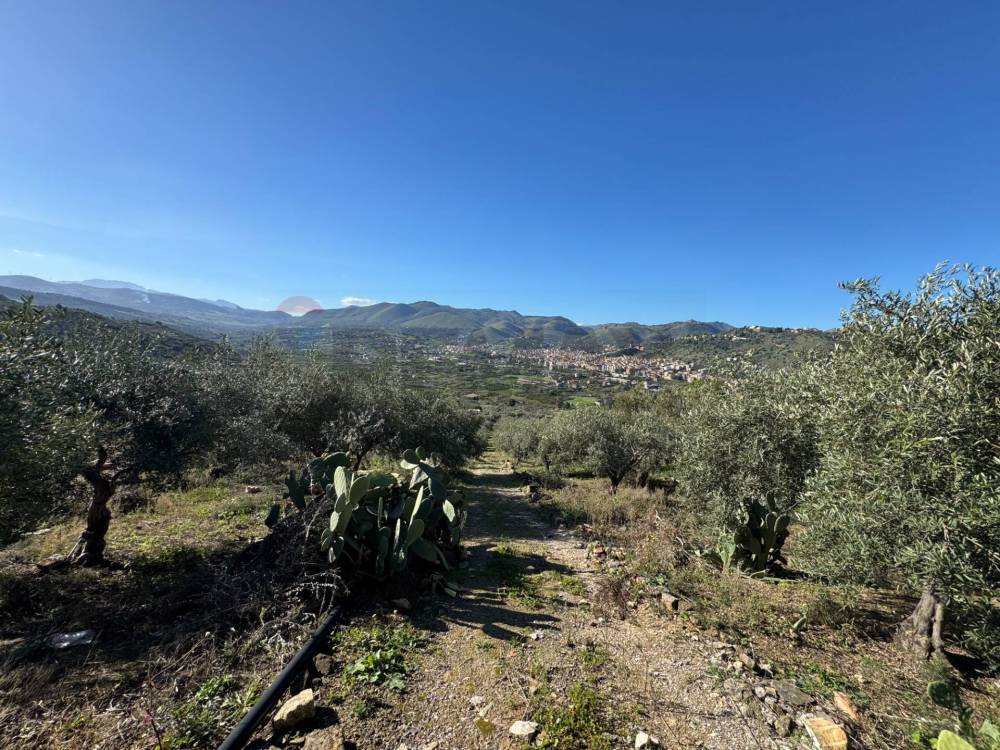 immagine annuncio 5 di 8