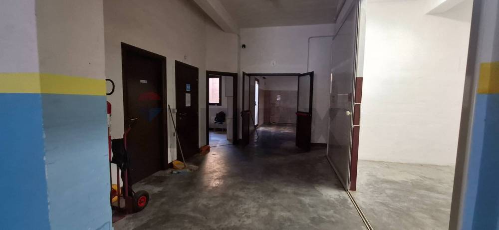 immagine annuncio 3 di 7