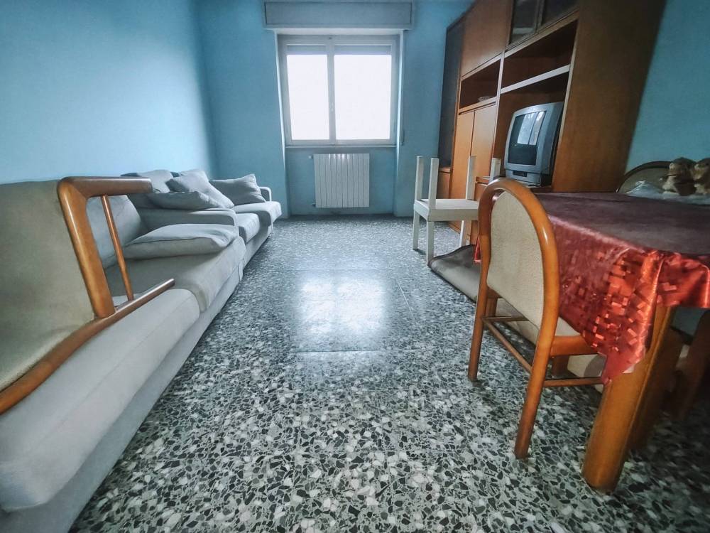 immagine annuncio 7 di 13