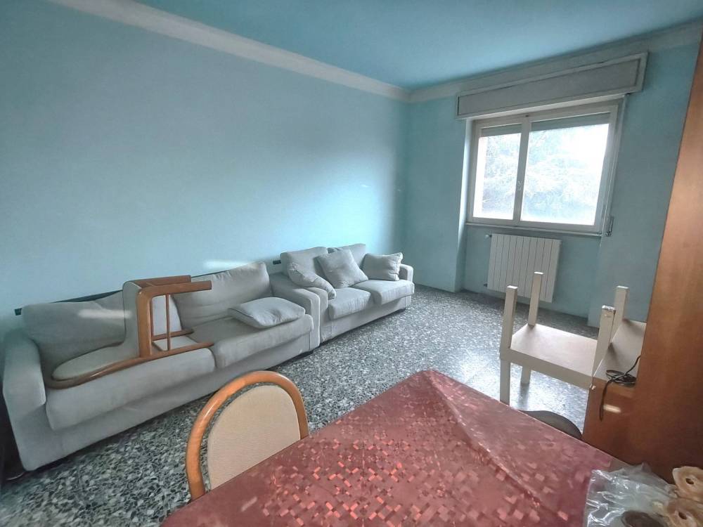 immagine annuncio 8 di 13