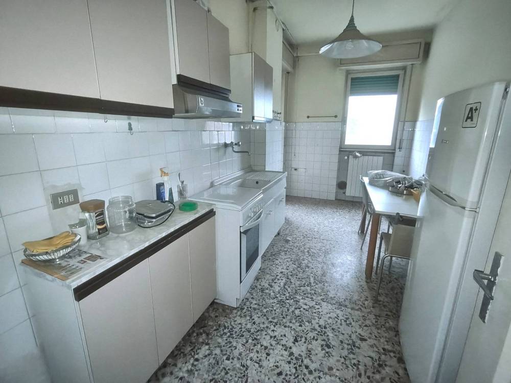 immagine annuncio 12 di 13