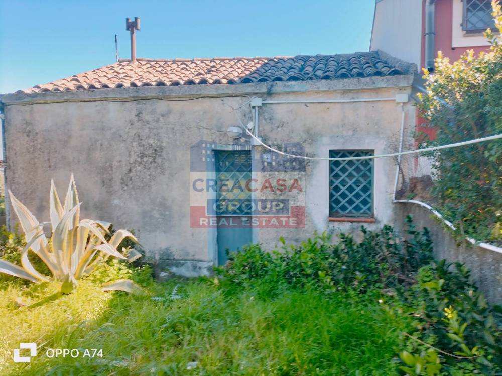 immagine annuncio 1 di 13