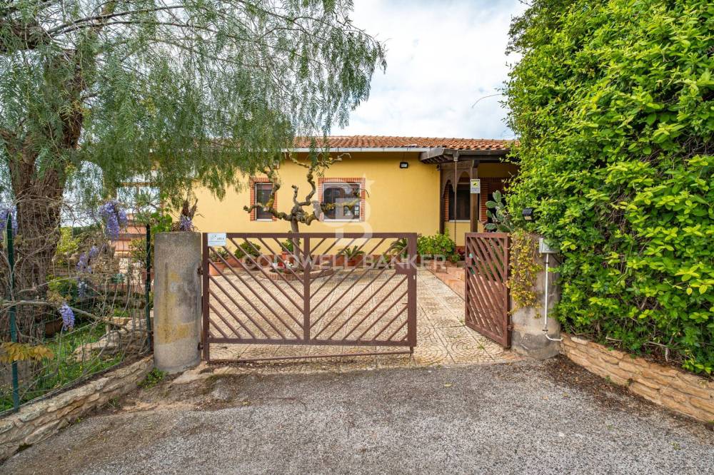 immagine annuncio 4 di 13