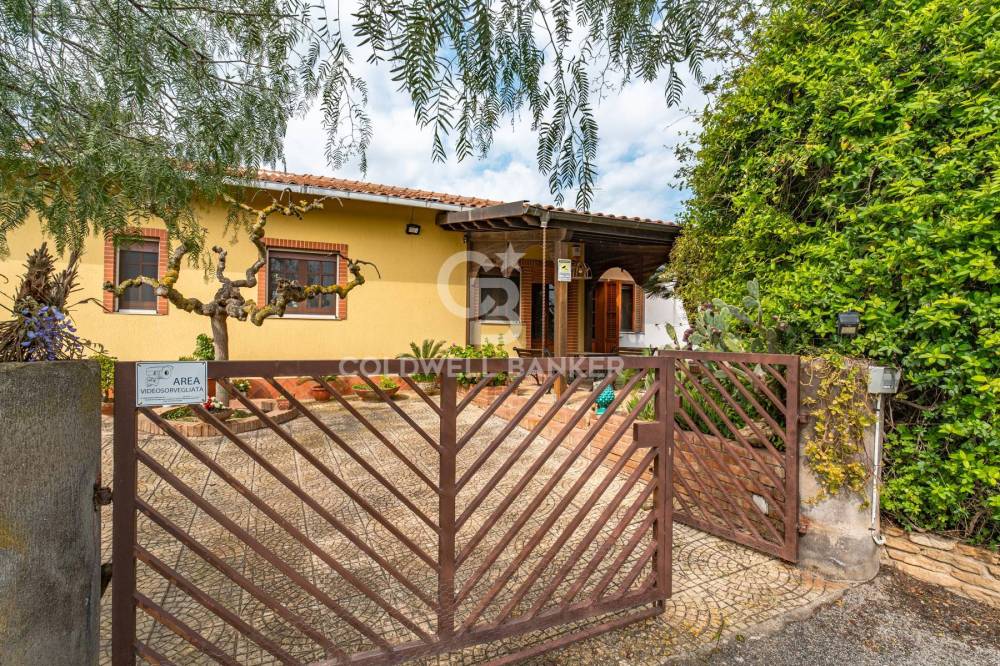 immagine annuncio 5 di 13