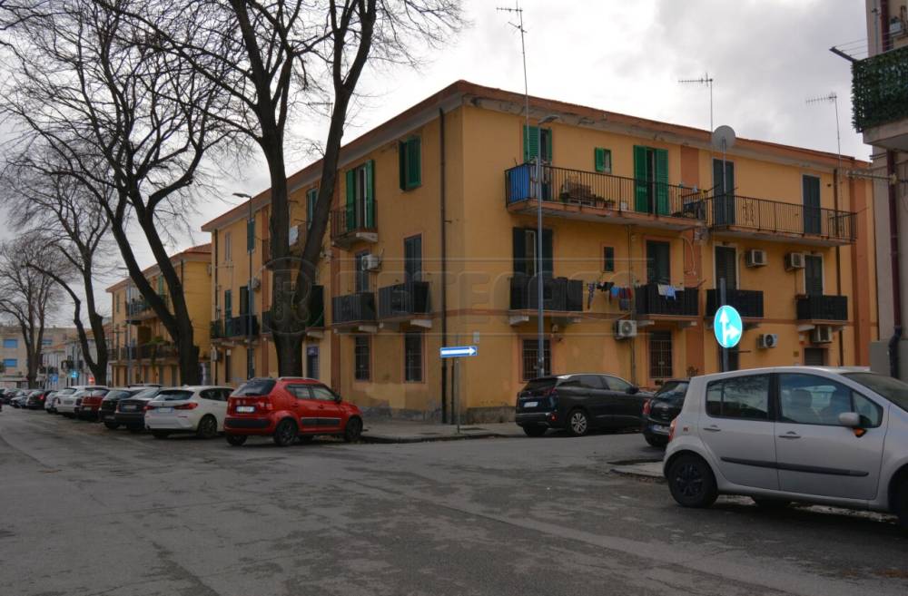 immagine annuncio 12 di 13