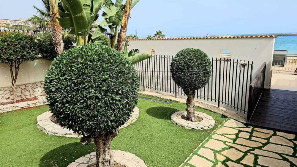 immagine annuncio 1 di 13