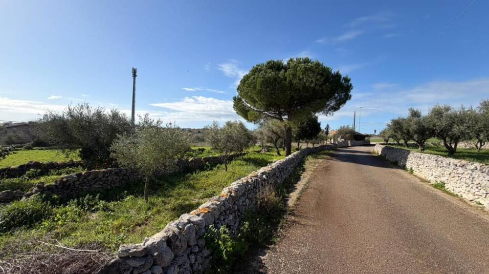 immagine annuncio 1 di 13