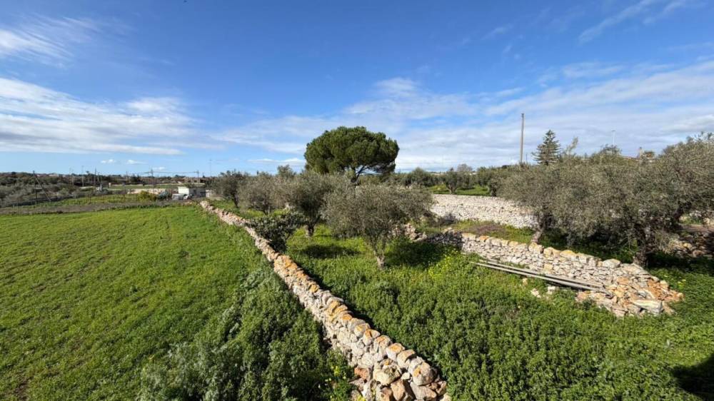 immagine annuncio 8 di 13