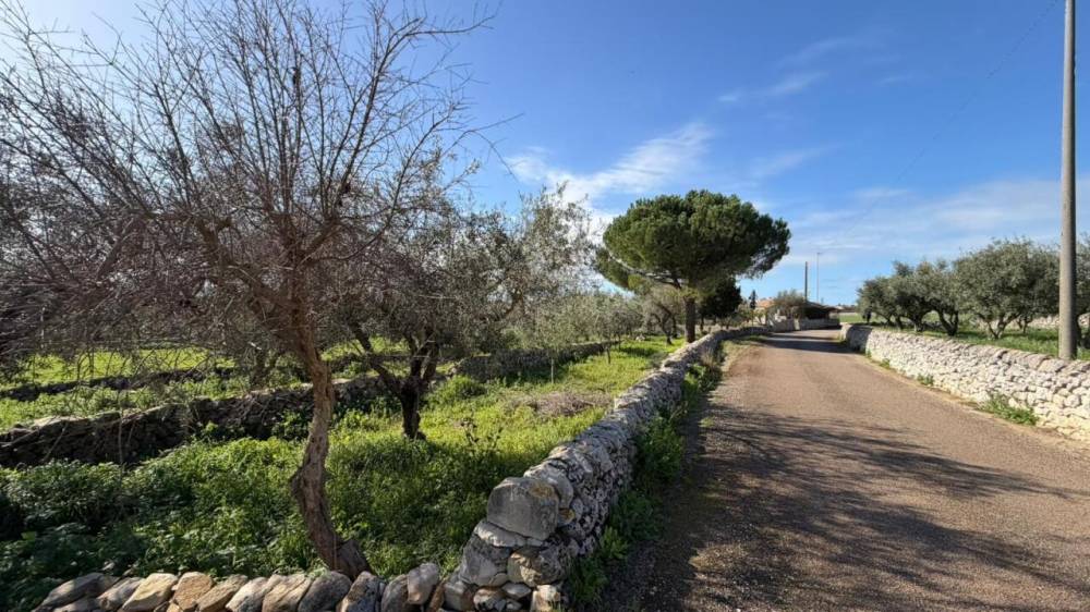 immagine annuncio 10 di 13