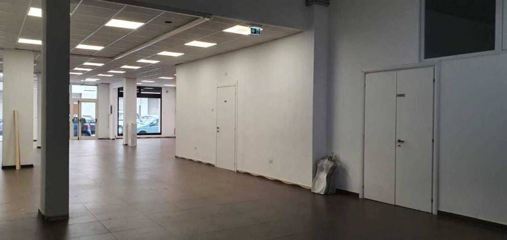 immagine annuncio 12 di 13