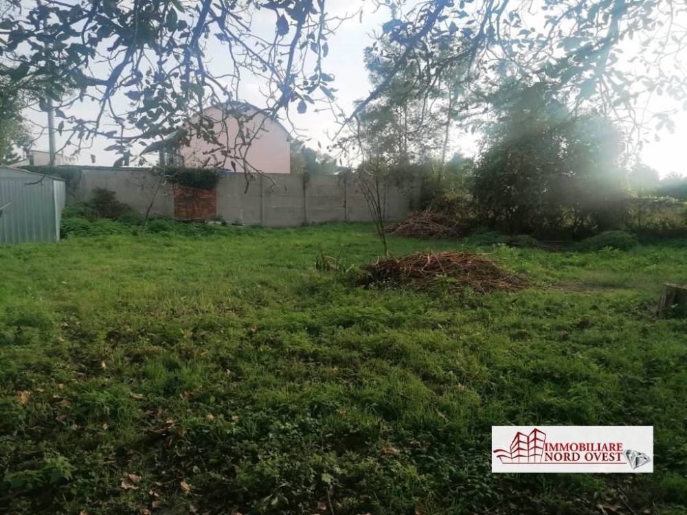 immagine annuncio 4 di 7