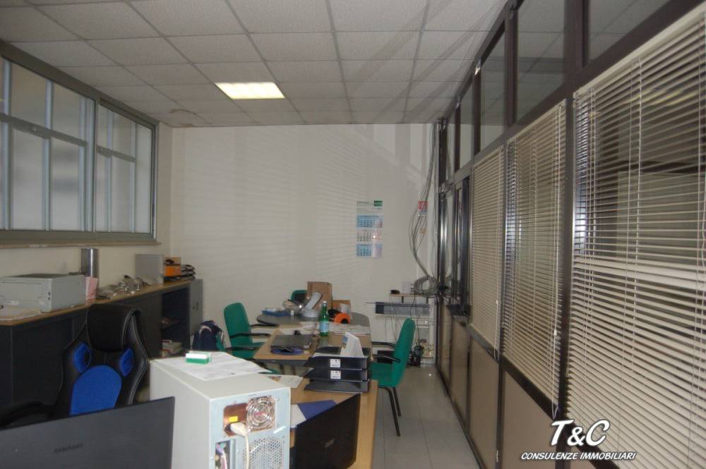 immagine annuncio 3 di 7