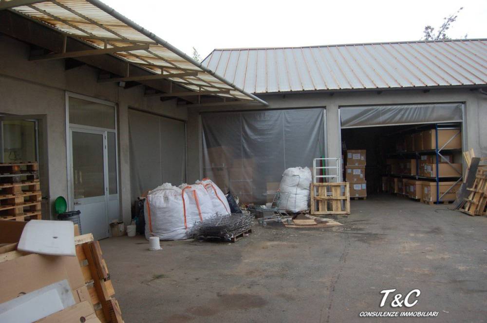 immagine annuncio 2 di 7