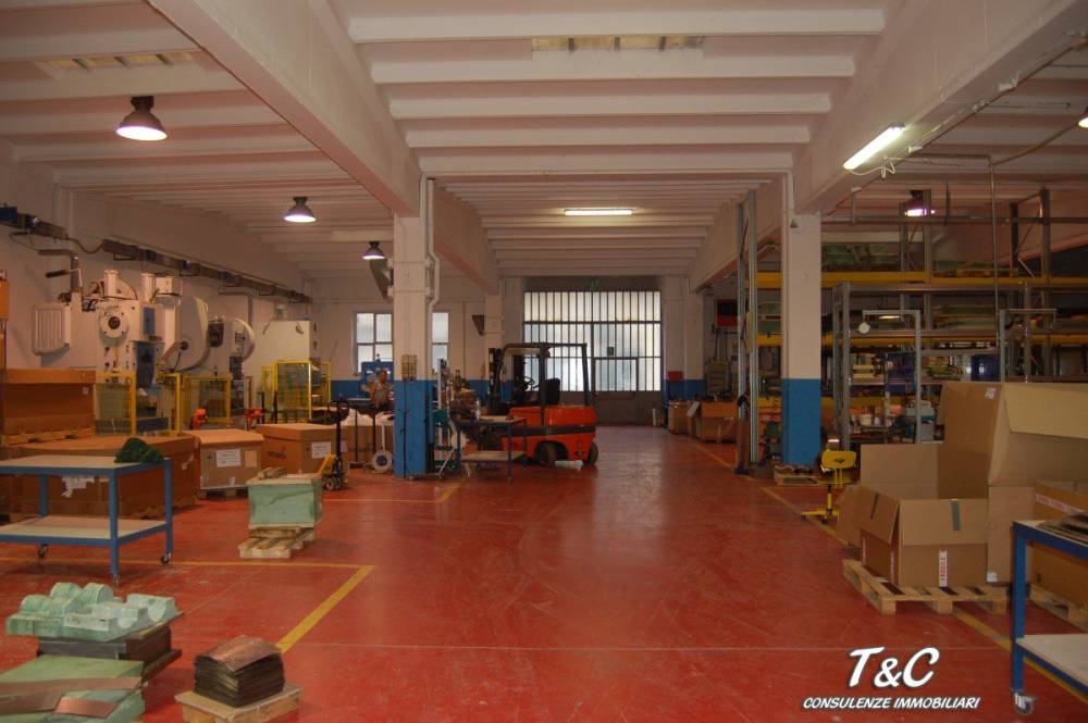 immagine annuncio 6 di 7