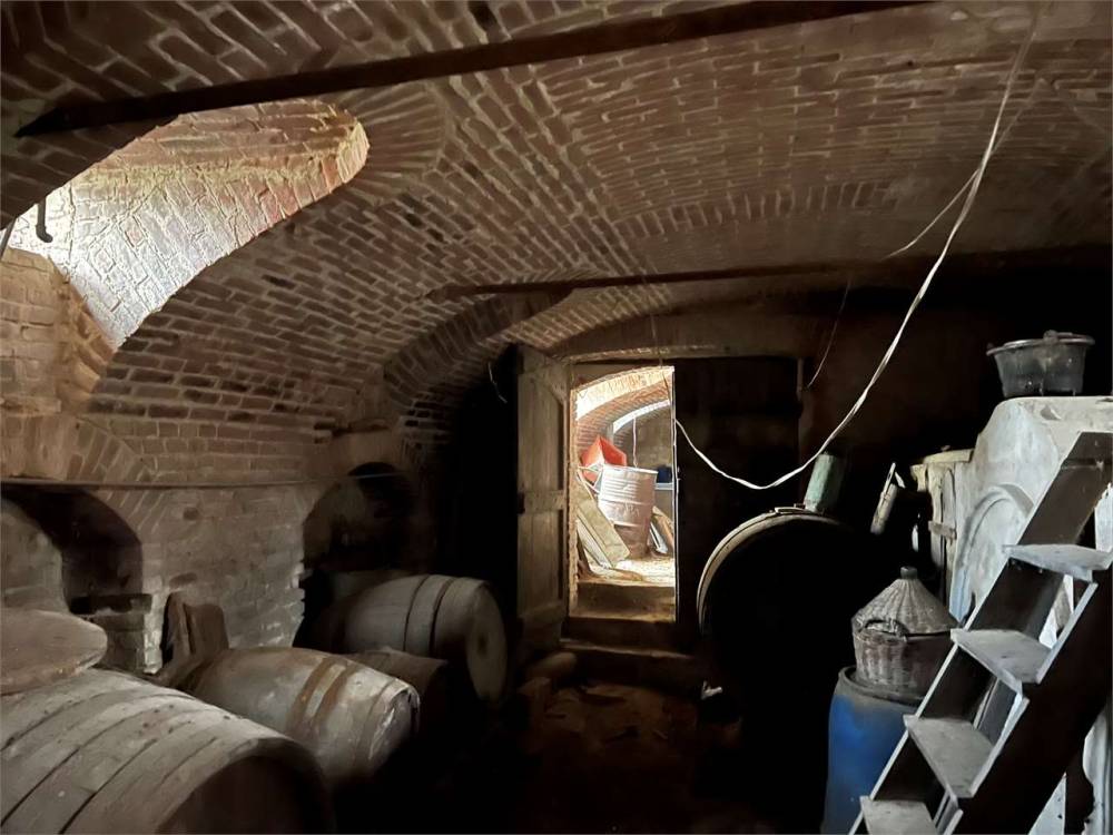 immagine annuncio 4 di 13