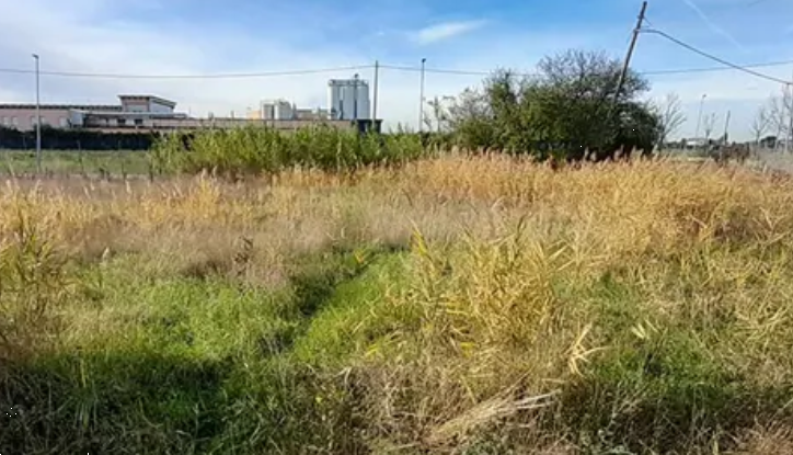 immagine annuncio 2 di 13