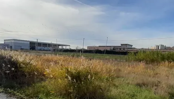 immagine annuncio 3 di 13